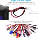 Tenergy 2 Pack 12V 2000mAh Battery Packs RC Battery w/Bare Leads for RC Airplanes, RC Car, DIY and More