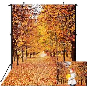 Autumn Forest Backdrop for Photography Fall Landscape Leaves Trees Vivid Nature Scene Thanksgiving Party Decorations Background Kids Adult Portrait Photography Supplies