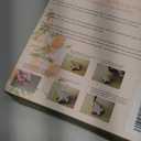 Cookie Cutters Pack Of 2