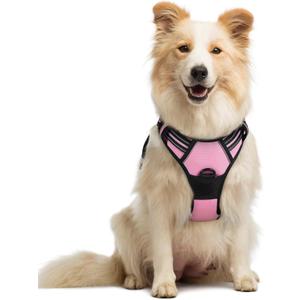 rabbitgoo Dog Harness No Pull with 2 Leash Clips, Adjustable Soft Padded, Reflective Oxford No Choke Pet Vest with Easy Control Handle for Medium Sized Dogs, Pink, M