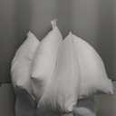 18 x 18 Throw Pillow Insert - Pack of 4 White, Down Alternative Pillow Inserts for Decorative Pillow Covers, Throw Pillows for Bed, Couch Pillows for Living Room (18" x 18" (Pack of 4))