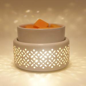 Ceramic Wax Melt Warmer - LED Night Light Candle Wax Warmer for Scented Wax, Electric Fragrance Wax Melter for Home, Office, Bedroom Decor, and Gifts (White)