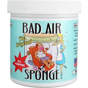 Bad Air Sponge 14OZ