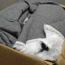 Fluffyrug White Shag Area Rug 9x12: Large for Living Room - Big Plush Fuzzy Carpet(White, 9x12 Feet)