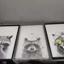 Adorable Raccoon Bathroom Wall Art Decor Set of 3 24x16 Inch Modern Funny Bathroom Sign Wood Framed Rustic Farmhouse Interestring Washroom Animal Prints Wall Hanging (Black) (24L" x 16W", Black)