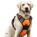 rabbitgoo Dog Harness No Pull with 2 Leash Clips, Adjustable Soft Padded, Reflective Oxford No Choke Pet Vest with Easy Control Handle for Large Dogs, Orange, Large