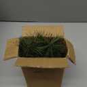 CCINEE 96Pcs Artificial Green Pine Needles Branches Red Berry Picks for Crafts, Greenery Stems Mini Holly Berries Pine Picks Twigs for Christmas Tree Garland Wreath Embellishing Holiday Decorations