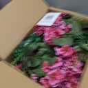 Artificial Topiary for Outdoors 18 Geranium Flower Ball, Outdoor Topiary Artificial Plant for Front Door, Garden, Yard, Patio(2, Pink)