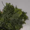 Waydress 1 Pcs 6ft Christmas Cedar Garland Artificial Realistic Soft and Thickness Green Faux Fake Full Cedar Pine Garland for Fireplace Mantel Table Doorframe Indoor Outdoor Xmas Holiday Decoration