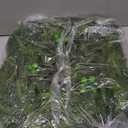 24 Inch Christmas Wreaths for Front Door, Real Touch Norfolk Pine Wreath Large Christmas Wreath with Lights, Winter Wreaths Christmas for Outdoor Indoor Windows Xmas Decor (1 Pack, Green)