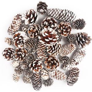 JOHOUSE 40PCS Snow Pinecones for Decorating, Natural Pine Cones for Crafts Vase Filler Christmas Tree Winter Holiday Hanging Ornaments