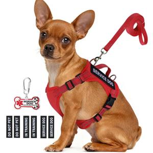 Service Dog Vest for Small Breed Dogs with ID Tag  Lightweight Puppy Harness and Leash Set with 6 PCS Patches, Ideal Service Animal Vest for Training, Complete Service Dog Gear, Red, L