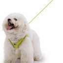 Adjustable Dog Harness with Leash, Reflective Mesh, No-Pull DesignMatching Lead Rope (Lemon Yellow, M)