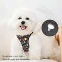 Step in Dog Harness No Pull Flower Adjustable Soft Mesh Padded Reflective Pet Vest Harness and Leash Set, XS