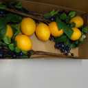 Artificial Lemon Picks with Blueberries and White Flowers, Eucalyptus Leaves, 12 Inch Summer Fruit Stems, 4 Pack Decorative Branches for Vase