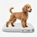 Dog Scale for Small Dogs, cat Scale,Digital pet Scale for Weighing,Measuring Range:40g-88Lb,Suitable for Puppy and Kitten to Adult Animals White