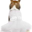 QBLEEV Dog Dress - White Lace Tutu Skirt for Small Dogs, Wedding Attire, Sweet Princess Dress with Bowknot, Puppy Bride Halloween Costume Summer Apparel Formal Clothes for Wedding Party Holiday, S