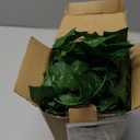 CQURE 14 Pack 98Ft Artificial Ivy Garland,Ivy Garland Fake Vines UV Resistant Green Leaves Fake Plants Hanging Vines for Home Kitchen Wedding Party Garden Wall Room Decor