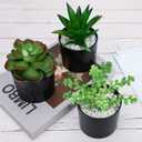 Hopewood Artificial Succulents Faux Potted Plant Decor, Small Fake Plants in Black Pot, Realistic and Lifelike for Book Shelf, Desk Decor, Home Office, Kitchen, or Bathroom Decor - Pack of 3