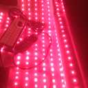 2026 Upgraded All-in-One Red Light Therapy Mat Full Body, 75 x 35 Medical-Grade TPU Red Light Blanket with 2600 Dual-Wavelength LEDs (660nm Red & 850nm NIR) for Pain Relief & Recovery, Size: XXXL