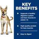 Hill's Science Diet Adult 1-6, Adult 1-6 Premium Nutrition, Wet Dog Food, Beef & Vegetables Stew, 12.8 oz Can, Case of 12