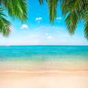 Beach Ocean Backdrop, Hawaii Tropical Background Summer Photography Picture Luau Theme Party Decorations, Outdoor Indoor Aloha Birthday Decor Banner Photo Studio Photoshoot Props 118"x95.6" (Blue)