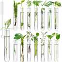 15Pcs Clear Test Tubes for Plant, 20ml Plant Propagation Tube with Brush, Plastic Test Tubes for Hydroponic Plants, Flowers, Home Office Wall Decor (12cm), Transparent