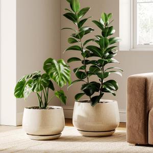 LE TAUCI Ceramic Plant Pots, Set of 2, 10 + 12 Inch Plant Pot, Elegant Planters for Indoor Plants, Sturdy Planter with Drainage Hole and Saucers, Perfect for Home Decor, Reactive Glaze Beige