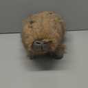 uoozii 20" | 4 Pounds Capybara Weighted Stuffed Animals with Removable Unscented Microwavable Pouch, Cute Coolable Warmable Weighted Plush Gift for Kids & Adults