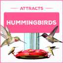 Pennington Electro-Nectar Hummingbird Nectar Ready to Use, Naturally Colored with Electrolytes, 64-oz Bottle