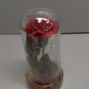Valentines Day Gifts for Her,Beauty and The Beast Rose in Glass Dome,Lasts Forever Red Rose with LED Lights,Gifts for Women,Mom,Wife,Anniversary,Birthday, Wedding Home Decor