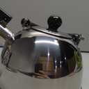 Stainless Steel Stovetop Whistling Tea Classic Teapot with Ergonomic Handle, Works on Induction Cooktops 2 Liter 2404