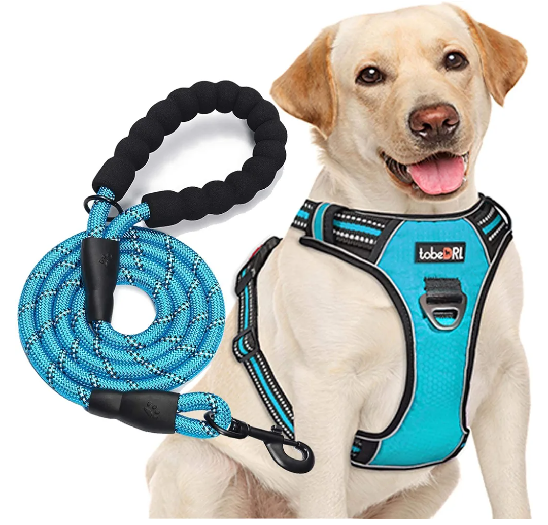 No Pull Dog Harness Adjustable Reflective Oxford Easy Control Medium Large Dog Harness with A Free Heavy Duty 5ft Dog Leash