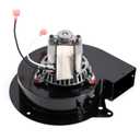 Advice 0131M00002PSP Draft Inducer Motor for Goodman Furnaces, 0131M00002P Furnace Draft Inducer Blower Motor for Goodman GMT070 GMS80703ANA GMS80603AN GDS80703ANA GDS80703AXBC GMS80453ANA Furnace