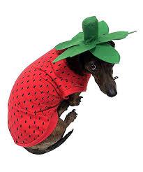 Midlee Strawberry Dog Costume (X-Large)
