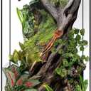 15 Gallon Tall Reptile Glass Tank 12"x12"x24" with Drainage Hole - Pre-Assembled Vertical Reptile Cage for Arboreal Geckos,Chameleon,Lizard,Tree Frog and Snake with Terrarium Decoration