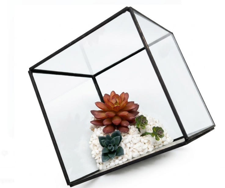 Decor Bambeco Glass/Metal Square Terrarium with Succulents 