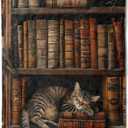 Book Flannel Blanket - Adorable Cat Napping on Bookshelf Throw,Playful Gifts for Adult & Library Lovers, Ultra Soft & Warm,Lightweight, for Couch Bedroom Living Room Modern Decor 50x60in