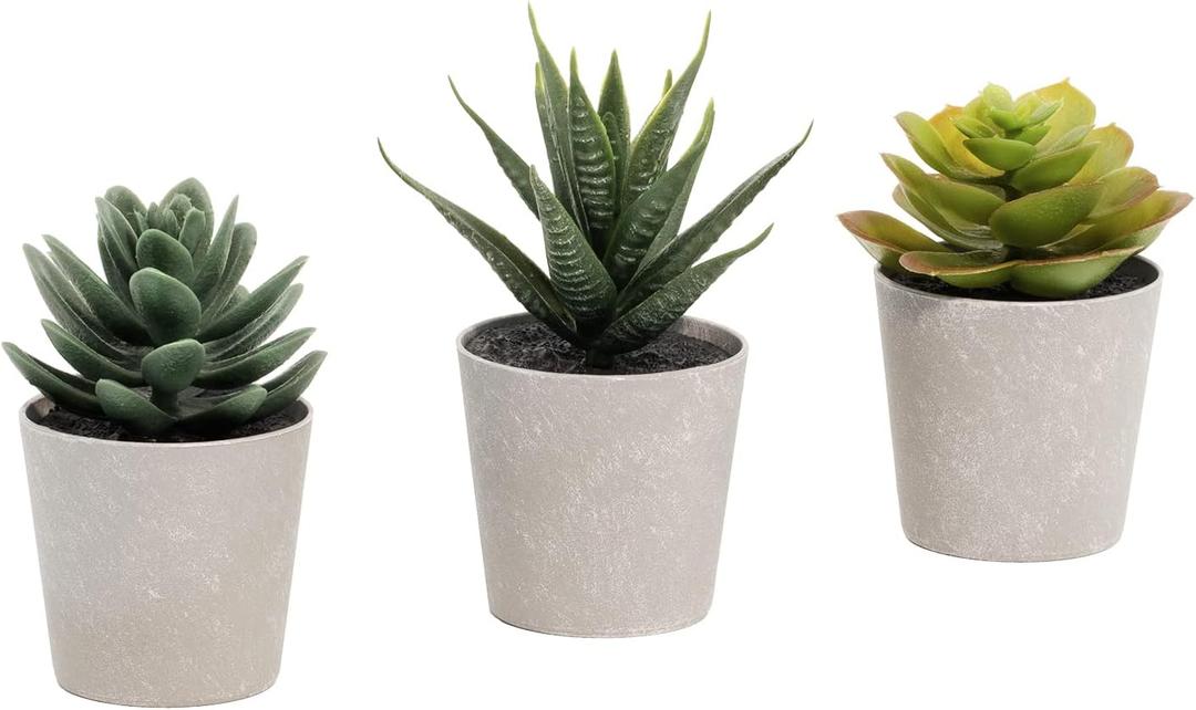 Artificial Succulents Set of 3 Mini Realistic Fake Plants with Plastic Pots for Home and Office Decoration, Including Aloe, Echeveria laui and Haworthia coarctata f. greenii, 4in (H) x 3.5in (W)