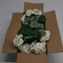 Hananona Artificial Geranium Flowers for Outdoors Geranium Silk Flowers Outdoor UV Resistant Garden Plants Faux Flowers for Home Kitchen Table Centerpieces Decor (12, White)