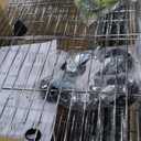 BestOffice | 6-Tier Wire Storage Shelves with Wheels | 18x48x82 | Chrome | Adjustable Racks | Heavy-Duty Metal Shelf, Holds Upto 510 lbs | No-Tool Assembly | Ideal for Home & Garage Shelving