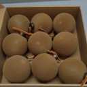 9 PCS Christmas Velvet Balls Flocked Xmas Tree Ball Ornaments Christmas Large Ball Set Xmas Tree Hanging Decoration 4 Inch, 6 Inch (Browm, 4inch)