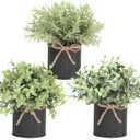 Mkono 3 Pack Small Fake Plants in Black Galvanized Metal Pots Artificial Eucalyptus Plants for Christmas Decorations Shelf Desk Home Farmhouse Room Coffee Table Bathroom Decor