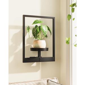Picture Frames Wall Decor Plant Stand Indoor Wall Planters for Indoor Plants Plant Holder Plant Wall Shelf Hanging Planters Plant Hanger Outdoor for Living Room, Window, or Balcony
