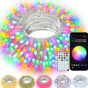 echosari Christmas Smart String Lights