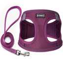 Dog Harness with Leash Set, No Pull Adjustable Reflective Step-in Puppy Pet Vest Harnesses for Small Medium Large Dogs and Cats,Cranberry XS