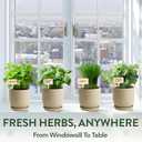 HOME GROWN Indoor Organic Herb Garden Kit, Unique Valentines Day Gift for Adults, Men, & Women,Grow 4 Herb Seeds for Kitchen Window Garden,Beginner DIY Hobby Gardening Gift for Plant Lovers, Mom & Dad