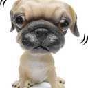Bobble Head Dogs Bobbing Heads Car Dash Puppy Car Decoration (Pug)