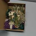 12/24 Pack Dried Flowers for Vase Various Mini Bouquet Dried Small Wildflowers Natural Real Flowers Bulk for Crafts DIY Wedding Decor (12, White)