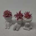 Der Rose 3 Pcs Fake Succulents Plants Artificial Pink Room Office Desk Decor for Women